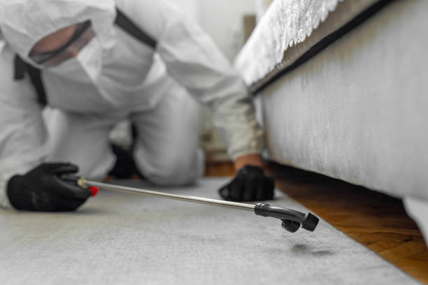 Professional Termite Control technician working in East Flat Rock, NC