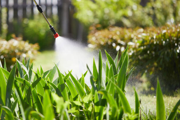24/7 Emergency Termite Control experts in East Flat Rock, NC