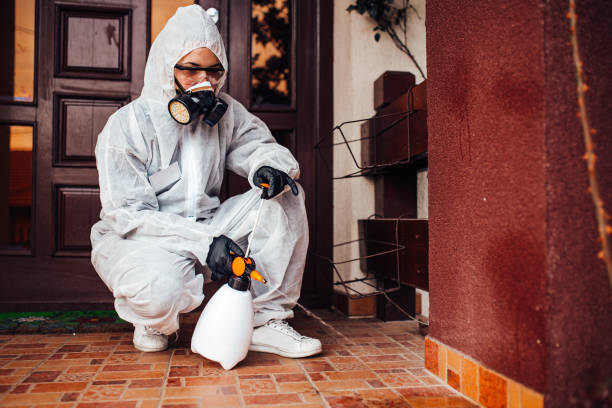 Reliable Termite Control contractor in East Flat Rock, NC by Nex Pest Control