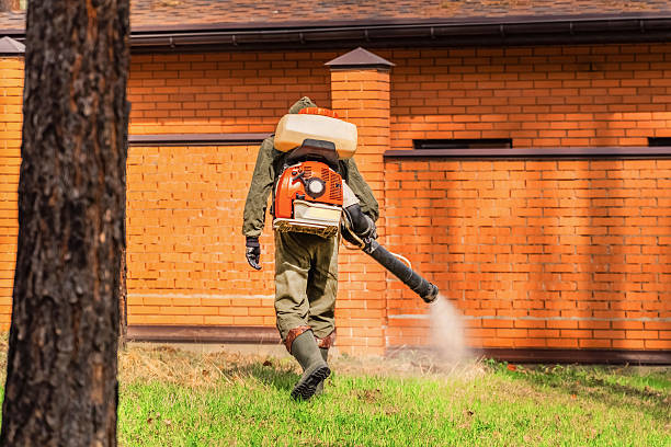 Trusted Rodent Control service in East Flat Rock, NC - Nex Pest Control